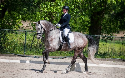 Winnend debuut voor Britt Oomen en Harvey